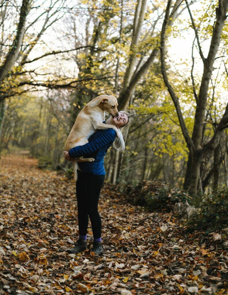 Comparateur assurances chien et chat