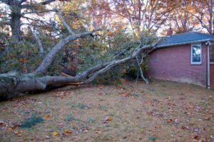 Indemnisation après la tempête Ciaran